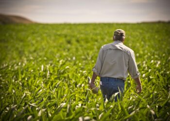 Mediação e arbitragem no agronegócio