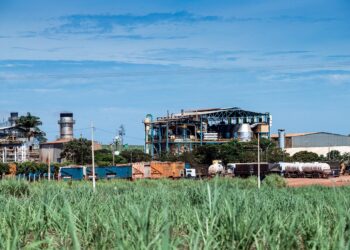 CRV Industrial e a Cooper–Rubi conquistam certificação Halal