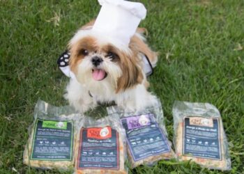 Chef Bob: Brasília ganha delivery de comida saudável para pets