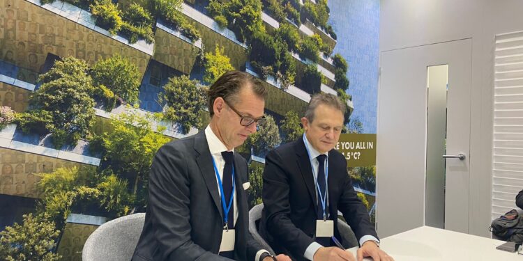 JBS e DSM fazem parceria para reduzir as emissões de metano na cadeia bovina