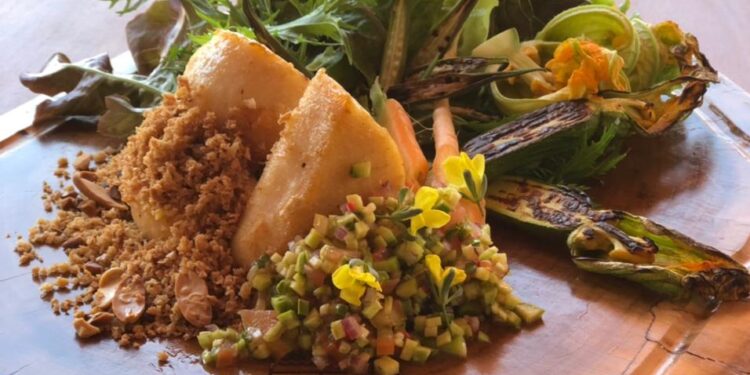 Lago Corumbá: Restaurante de ecoparque aposta em horta agroecológica para abastecer a cozinha