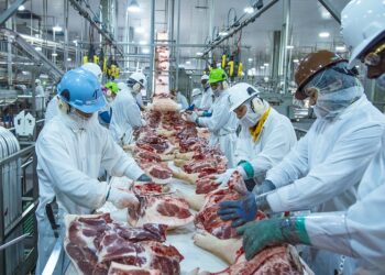 Rússia retoma importação de carne bovina e suína de 12 unidades do Brasil
