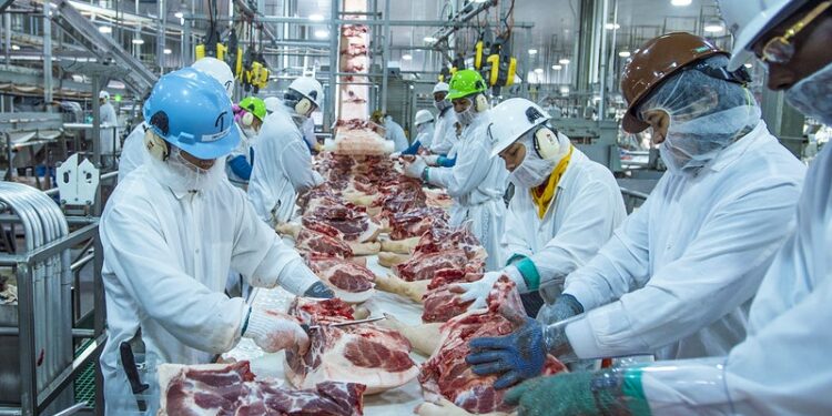 Rússia retoma importação de carne bovina e suína de 12 unidades do Brasil