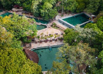 Aviva celebra resultado de R$ 60 milhões na Black Friday