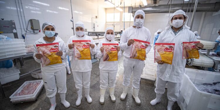 Bom Futuro investe em pescados para consumidor final