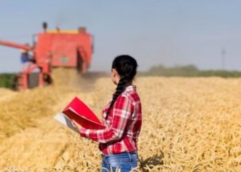 Cresce o número de lideranças femininas no agronegócio