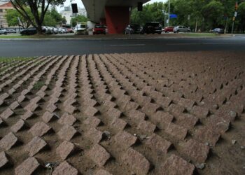 Depois da “A Venezuela está mais próxima do que se imagina” (1), agora, “Aporofobia”