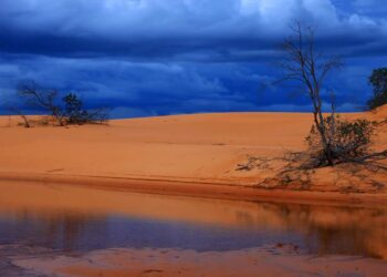Glamping no Jalapão: Korubo Expedições lança opção soft de safári