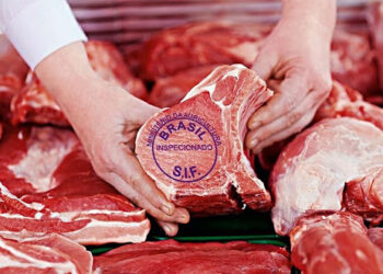 Mato Grosso deverá fechar ano com recorde nas exportações de carne bovina