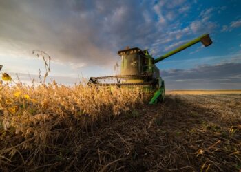 Mato Grosso pode alcançar a maior safra de todos os tempos, aponta especialista