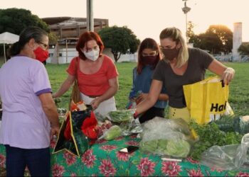 Mesmo com crise hídrica, número de agricultores familiares em MS cresce 62,4%