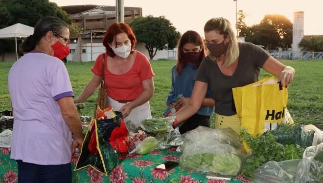 Mesmo com crise hídrica, número de agricultores familiares em MS cresce 62,4%