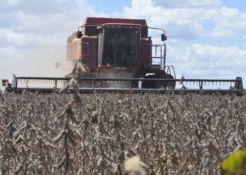 Seca faz setor agropecuário cair 9% no terceiro trimestre de 2021