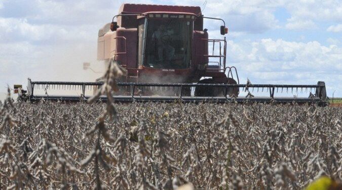 Seca faz setor agropecuário cair 9% no terceiro trimestre de 2021