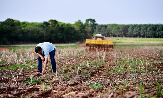 Área de soja convencional deve crescer na safra 2022/23 em Mato Grosso
