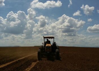 Arrendamento rural versus Parceria Rural: quais as diferenças?