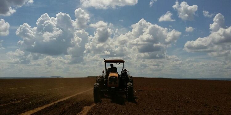 Arrendamento rural versus Parceria Rural: quais as diferenças?