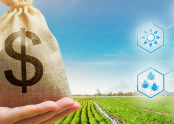 Agro: Registro de CPR igual ou superior a R$ 250 mil já é obrigatório