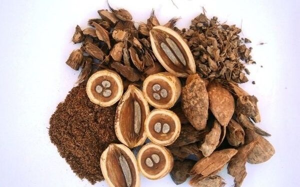 Bebida de coco babaçu inventada por professores do Tocantins recebe patente do INPI
