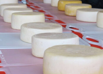 Brasil abre mercados para carne bovina, lácteos e material genético