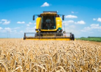 Lista da Forbes com as 100 maiores do agronegócio traz nomes  goianos