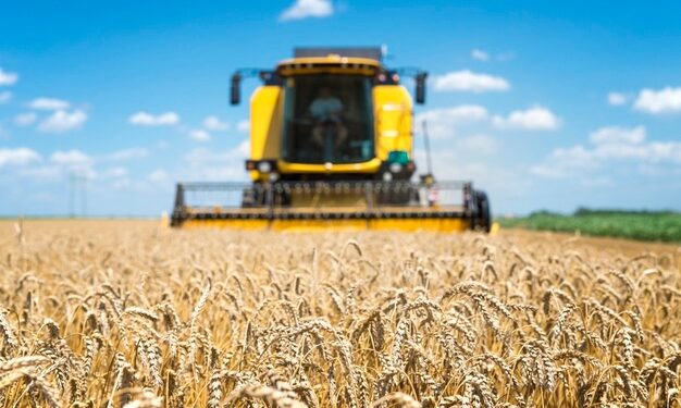 Lista da Forbes com as 100 maiores do agronegócio traz nomes  goianos