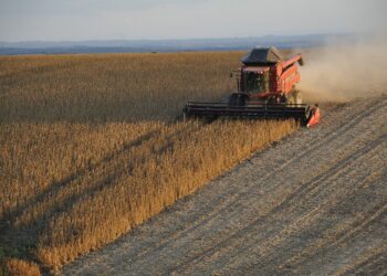 Com Sorriso na liderança, MT tem 35 dos 100 municípios mais ricos do agro