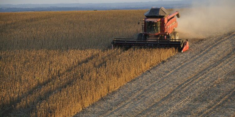 Com Sorriso na liderança, MT tem 35 dos 100 municípios mais ricos do agro