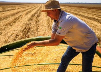 Mato Grosso lidera produção agropecuária brasileira por 4 anos consecutivos