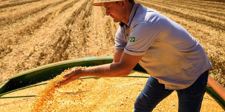 Mato Grosso lidera produção agropecuária brasileira por 4 anos consecutivos