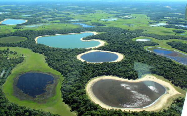 Projeto de Lei pode liberar plantio na região do Pantanal em Mato Grosso