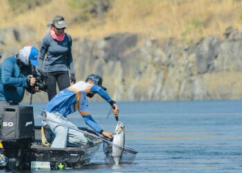 Tocantins entra no roteiro da pesca esportiva no Brasil