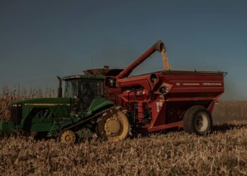 Produtor brasileiro de soja teve renda positiva pelo 15º ano consecutivo em 2021