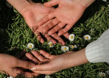 O Meio Ambiente, a Tecnologia, a Sociedade e você