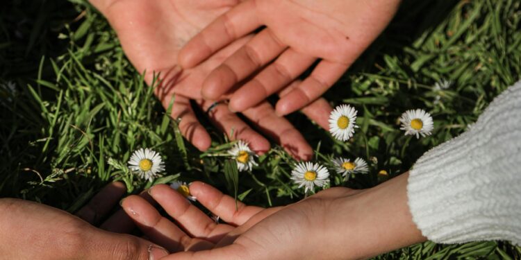 O Meio Ambiente, a Tecnologia, a Sociedade e você