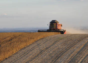Insumos: falta de dessecante trará prejuízos à safra de soja, diz Aprosoja Brasil