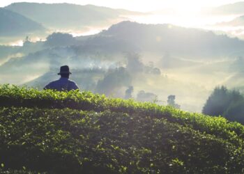 A Segurança Jurídica e o Fisco na aquisição de imóvel rural