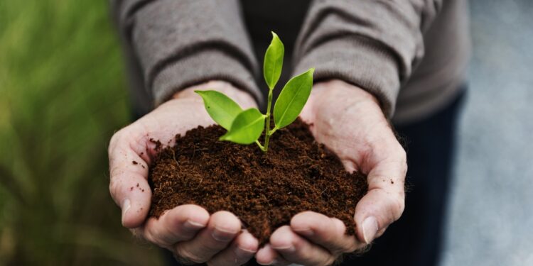 Apesar de instabilidade em outros setores, agronegócio fecha 2021 com recordes de exportações