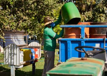 Bom Futuro recicla mais de 5 mil toneladas de resíduos e arrecada R$ 2,6 milhões