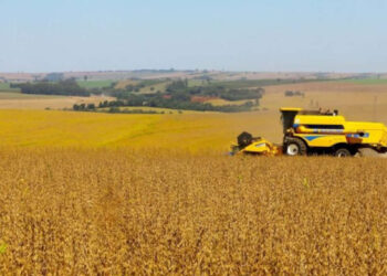 Cocari capta R$ 350 milhões em CRA