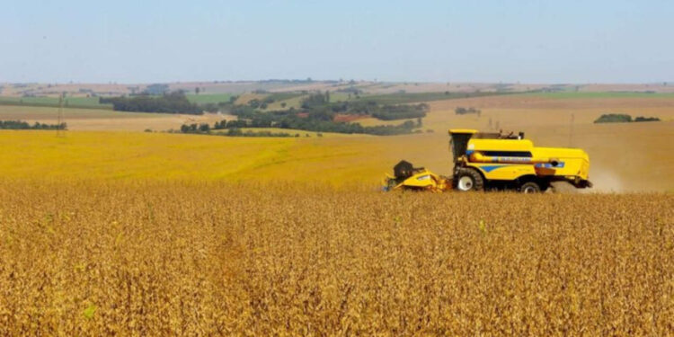 Cocari capta R$ 350 milhões em CRA