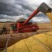 Contratações totais do crédito rural somam R$ 174 bilhões em sete meses