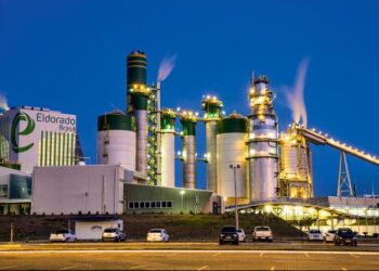 Mato Grosso do Sul e gigante da celulose disputam R$ 500 milhões