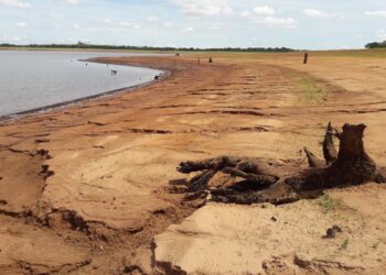 Os impactos da estiagem e das altas temperaturas para o agronegócio