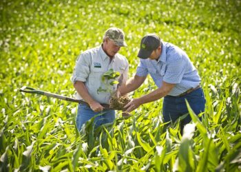 Nota fiscal eletrônica passa a ser obrigatória para Produtor Rural