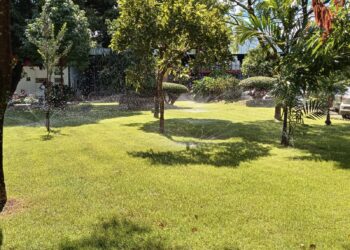 Áreas verdes de Goiânia terão sistema de irrigação automatizado