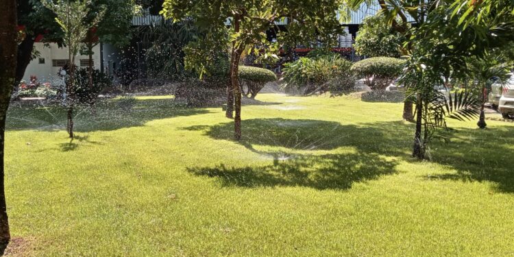 Áreas verdes de Goiânia terão sistema de irrigação automatizado