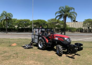 Tecnologia brasileira substitui agroquímicos na eliminação do mato nos centros urbanos
