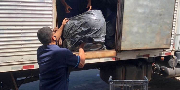 WAM Group e Aviva apoiam vítimas das enchentes no Sul da Bahia