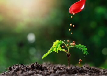EuroChem conclui aquisição da Fertilizantes Heringer